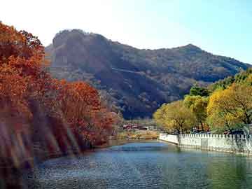 新澳天天开奖资料大全旅游团，上海钢塑土工格栅